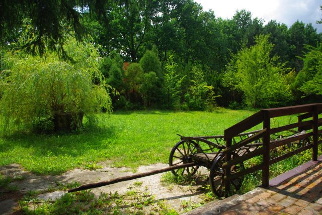 Zdjęcia: Powsin, Ogród Botaniczny., Mazowsze, Ogród Botaniczny., POLSKA Zdjęcia: Powsin, Ogród Botaniczny., Mazowsze, Ogród Botaniczny., POLSKA