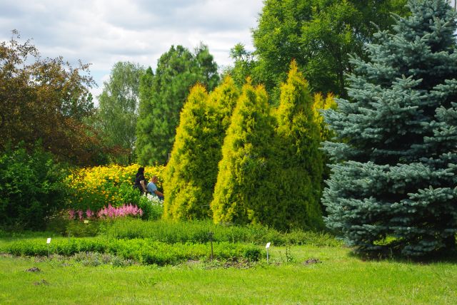 Zdjęcia: Powsin, Ogród Botaniczny., Mazowsze, Ogród Botaniczny., POLSKA Zdjęcia: Powsin, Ogród Botaniczny., Mazowsze, Ogród Botaniczny., POLSKA