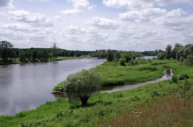 Zdjęcia: Niemirów, Podlasie, Bug, POLSKA Zdjęcia: Niemirów, Podlasie, Bug, POLSKA