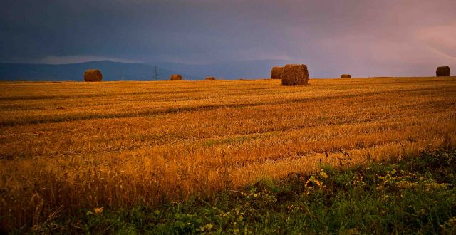 Zdjęcia: Karkonosze, Dolnośląskie, Przed burzą. Karkonosze., POLSKA Zdjęcia: Karkonosze, Dolnośląskie, Przed burzą. Karkonosze., POLSKA