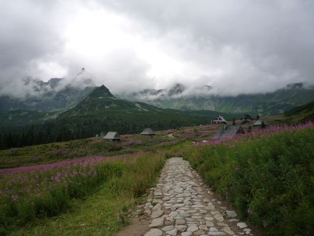 Zdjęcia: w drodze na kościelec, Tatry, Tatry, POLSKA Zdjęcia: w drodze na kościelec, Tatry, Tatry, POLSKA