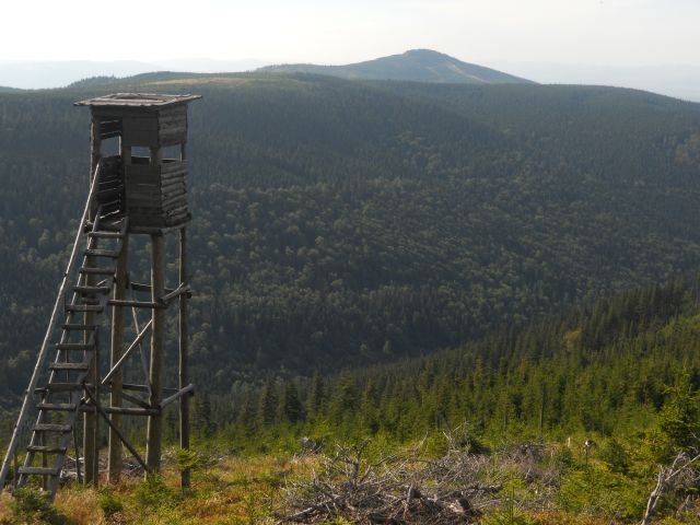 Zdjęcia: snieznik, -klodzko, sudety, POLSKA Zdjęcia: snieznik, -klodzko, sudety, POLSKA