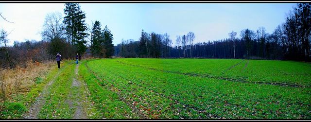 Zdjęcia: Krapkowice, Ślask Opolski, panorama ,zimno było :-), POLSKA Zdjęcia: Krapkowice, Ślask Opolski, panorama ,zimno było :-), POLSKA