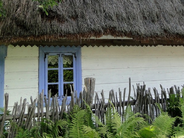Zdj cia: Nowoberezowo, Podlasie, Pozdrowienia z Podlasia - Nowoberezowo , POLSKA