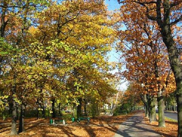 Zdjęcia: Ostrów Wielkopolski, Wielkopolska, Jesień w parku, POLSKA Zdjęcia: Ostrów Wielkopolski, Wielkopolska, Jesień w parku, POLSKA