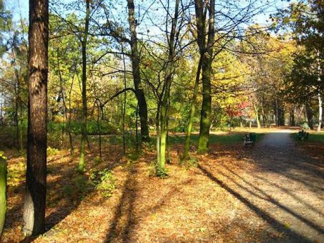 Zdjęcia: Ostrów Wielkopolski, Wielkopolska, Jesień w parku, POLSKA Zdjęcia: Ostrów Wielkopolski, Wielkopolska, Jesień w parku, POLSKA