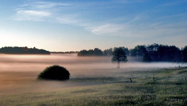 Zdjęcia: Okolice Mordów k\ Siedlec, Ranne mgły, POLSKA Zdjęcia: Okolice Mordów k\ Siedlec, Ranne mgły, POLSKA