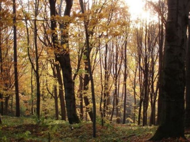 Zdjęcia: Krynica, Beskid, Krynica - widoki, POLSKA Zdjęcia: Krynica, Beskid, Krynica - widoki, POLSKA