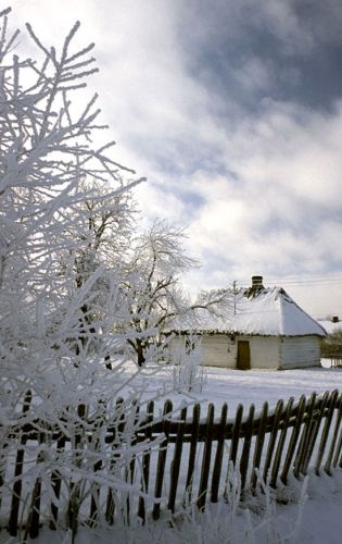 Zdjęcia: Rzążew, Mazowsze, Pierwszy śnieg, POLSKA Zdjęcia: Rzążew, Mazowsze, Pierwszy śnieg, POLSKA