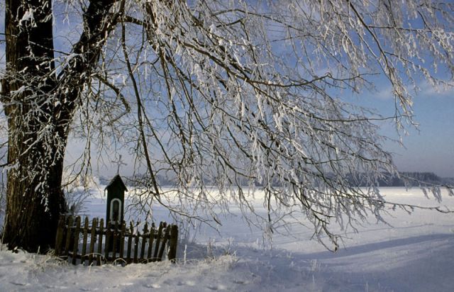 Zdjęcia: Rzążew, Mazowsze, Pierwszy śnieg2, POLSKA Zdjęcia: Rzążew, Mazowsze, Pierwszy śnieg2, POLSKA