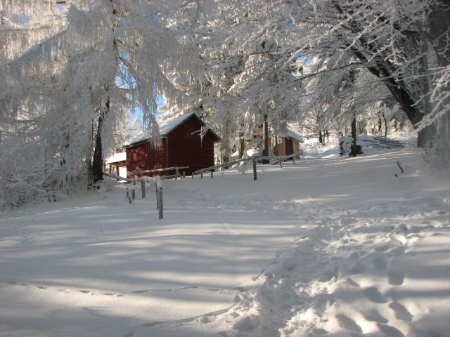 Zdjęcia: szlak na Leskowiec, Beskid Mały, schronisko tuz tuz......., POLSKA Zdjęcia: szlak na Leskowiec, Beskid Mały, schronisko tuz tuz......., POLSKA
