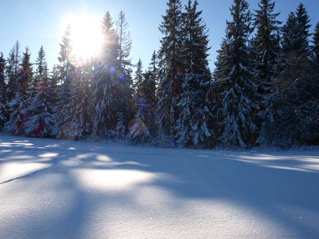 Zdjęcia: Czerwienne k/Zakopanego (Bachledówka), Tatry, Polska Zima, POLSKA Zdjęcia: Czerwienne k/Zakopanego (Bachledówka), Tatry, Polska Zima, POLSKA