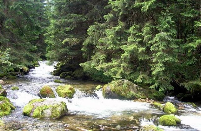 Zdjęcia: Tatry, Potok Bystra, POLSKA Zdjęcia: Tatry, Potok Bystra, POLSKA