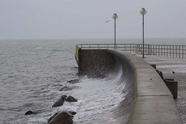 Zdjęcia: Gdynia, Senność, POLSKA Zdjęcia: Gdynia, Senność, POLSKA