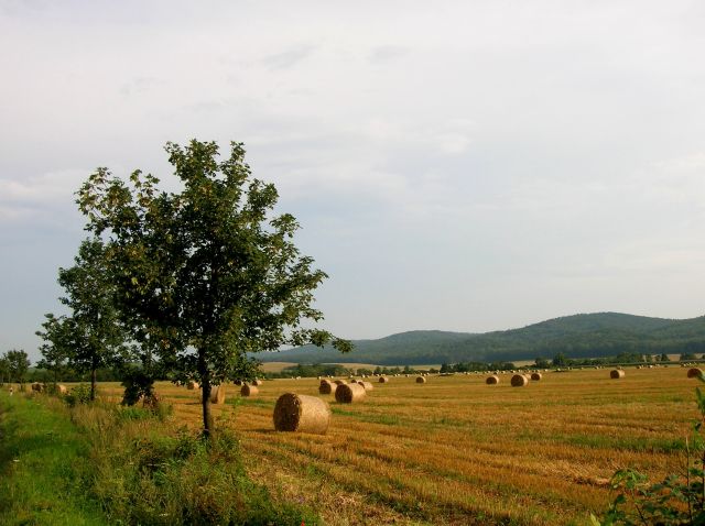 Zdjęcia: droga do Cisnej, Bieszczady, Sianokosów czas..., POLSKA Zdjęcia: droga do Cisnej, Bieszczady, Sianokosów czas..., POLSKA