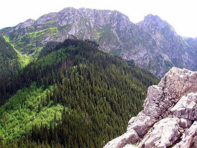 Zdjęcia: Zakopane, Symbol Tatr Polskich, POLSKA Zdjęcia: Zakopane, Symbol Tatr Polskich, POLSKA