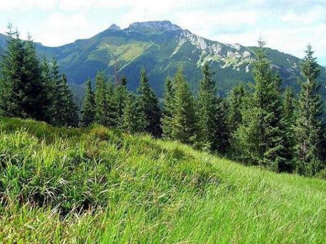 Zdjęcia: Tatry, Giewont, POLSKA Zdjęcia: Tatry, Giewont, POLSKA