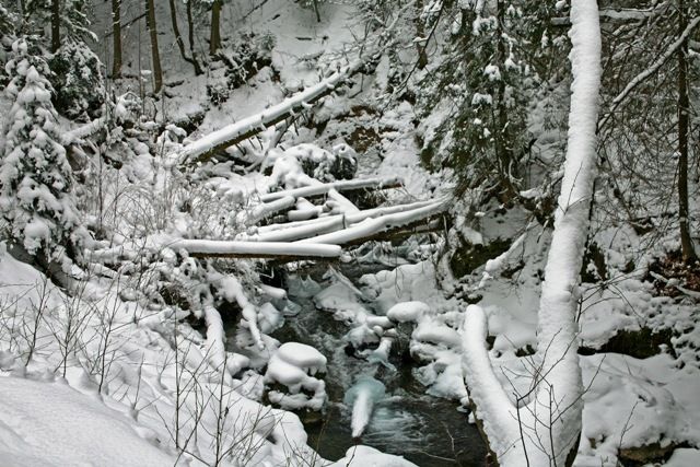 Zdjęcia: POTOK OLCZYSKI /DOLINA OLCZYSKA/, TATRY, ZIMOWY POTOK, POLSKA Zdjęcia: POTOK OLCZYSKI /DOLINA OLCZYSKA/, TATRY, ZIMOWY POTOK, POLSKA