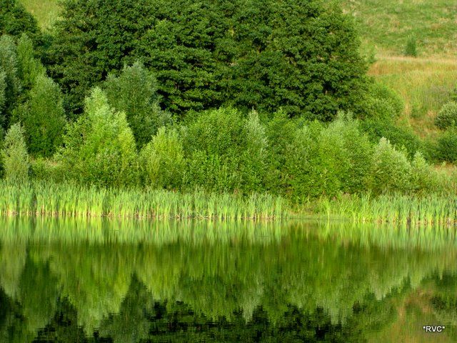 Zdjęcia: jeziorem hancza, mazury, jeziorko2, POLSKA Zdjęcia: jeziorem hancza, mazury, jeziorko2, POLSKA