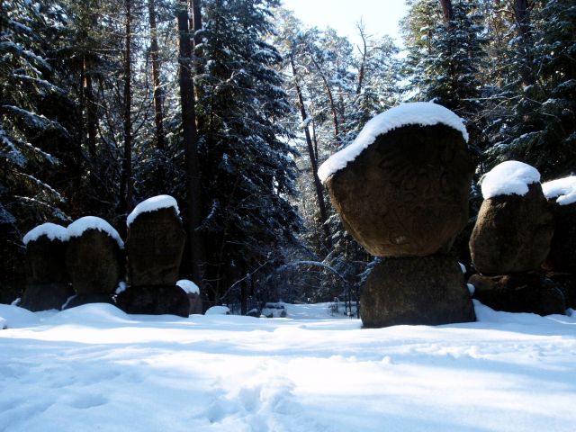 Zdjęcia: Zwierzyniec- Park- Trasa na Bukowa Górę, Lubelszczyzna, Zwierzyniec- Piękno Roztocza, POLSKA Zdjęcia: Zwierzyniec- Park- Trasa na Bukowa Górę, Lubelszczyzna, Zwierzyniec- Piękno Roztocza, POLSKA