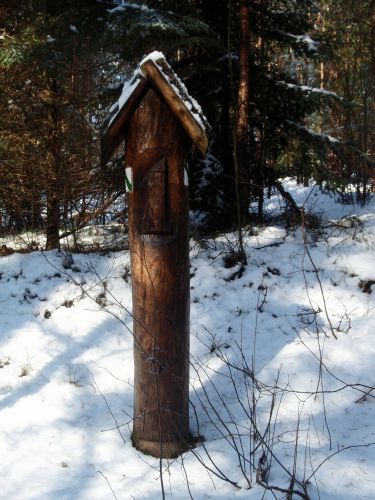 Zdjęcia: Zwierzyniec- Park- Trasa na Bukowa Górę, Lubelszczyzna, Zwierzyniec- Piękno Roztocza, POLSKA Zdjęcia: Zwierzyniec- Park- Trasa na Bukowa Górę, Lubelszczyzna, Zwierzyniec- Piękno Roztocza, POLSKA