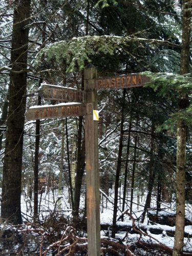 Zdjęcia: Zwierzyniec- Park- Drogowskazy, Lubelszczyzna, Zwierzyniec- Piękno Roztocza, POLSKA Zdjęcia: Zwierzyniec- Park- Drogowskazy, Lubelszczyzna, Zwierzyniec- Piękno Roztocza, POLSKA