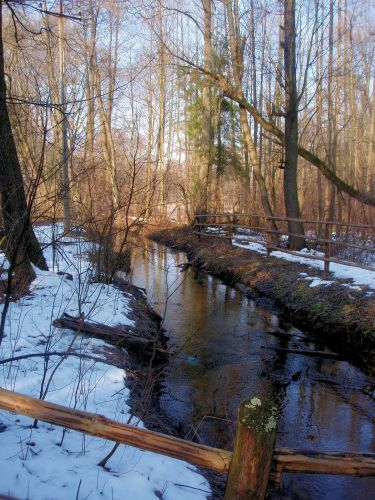 Zdjęcia: Zwierzyniec Strumyk, Lubelszczyzna, Zwierzyniec- Piękno Roztocza, POLSKA Zdjęcia: Zwierzyniec Strumyk, Lubelszczyzna, Zwierzyniec- Piękno Roztocza, POLSKA