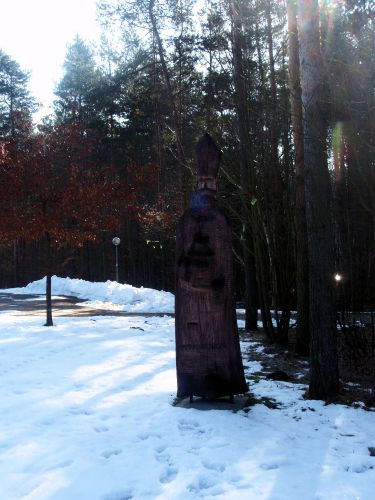 Zdjęcia: Zwierzyniec- Rzeźba, Lubelszczyzna, Zwierzyniec- Piękno Roztocza, POLSKA Zdjęcia: Zwierzyniec- Rzeźba, Lubelszczyzna, Zwierzyniec- Piękno Roztocza, POLSKA