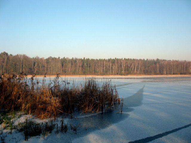 Zdjęcia: ok.Pabianic, łódzkie, cd.tematu, POLSKA Zdjęcia: ok.Pabianic, łódzkie, cd.tematu, POLSKA