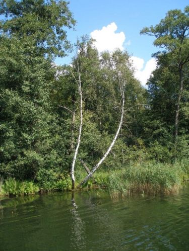 Zdjęcia: Mazury, Mazury, Węgorzewo, POLSKA Zdjęcia: Mazury, Mazury, Węgorzewo, POLSKA
