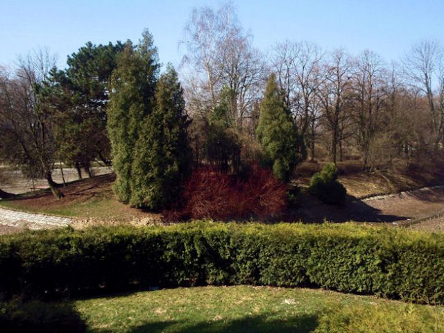 Zdjęcia: Park, Lubelszczyzna, Zamość- Park, POLSKA Zdjęcia: Park, Lubelszczyzna, Zamość- Park, POLSKA