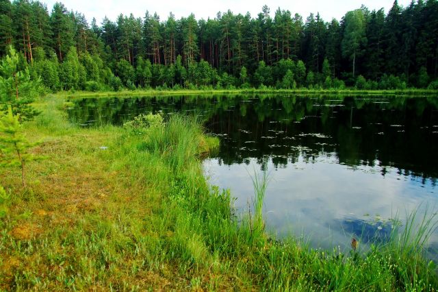 Zdjęcia: Niedaleko jez.Gim, Mazury, Spleja z jeziorkiem, POLSKA Zdjęcia: Niedaleko jez.Gim, Mazury, Spleja z jeziorkiem, POLSKA