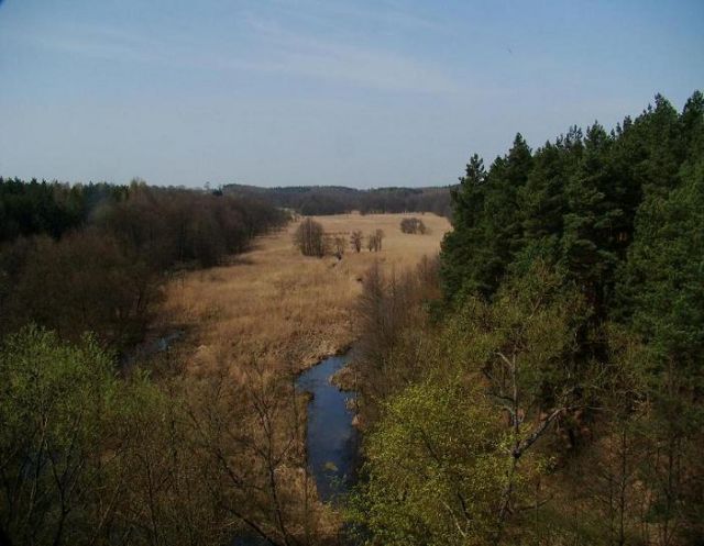 Zdjęcia: Sepolanski Park Krajobrazowy, pomorski, kwiecien w Sepolanskim Parku Krajobrazowym, POLSKA Zdjęcia: Sepolanski Park Krajobrazowy, pomorski, kwiecien w Sepolanskim Parku Krajobrazowym, POLSKA