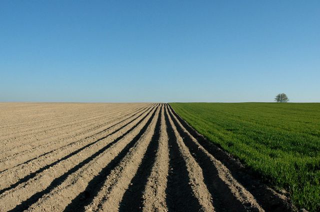 Zdjęcia: okolice Miechowa, małopolskie, geometria pól 1- polska wieś:), POLSKA Zdjęcia: okolice Miechowa, małopolskie, geometria pól 1- polska wieś:), POLSKA