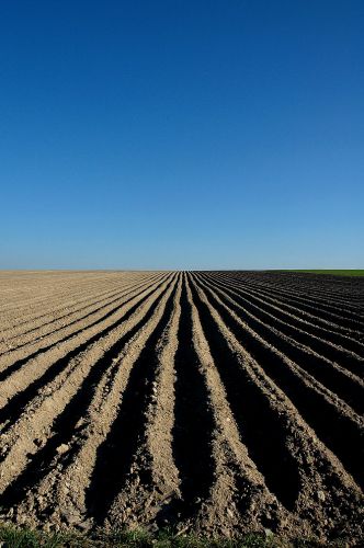 Zdjęcia: okolice Miechowa, małopolskie , geometria pól 2- polska wieś:), POLSKA Zdjęcia: okolice Miechowa, małopolskie , geometria pól 2- polska wieś:), POLSKA