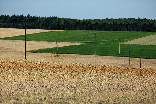 Zdjęcia: okolice Miechowa, małopolskie, geometria pól 3- polska wieś:), POLSKA Zdjęcia: okolice Miechowa, małopolskie, geometria pól 3- polska wieś:), POLSKA