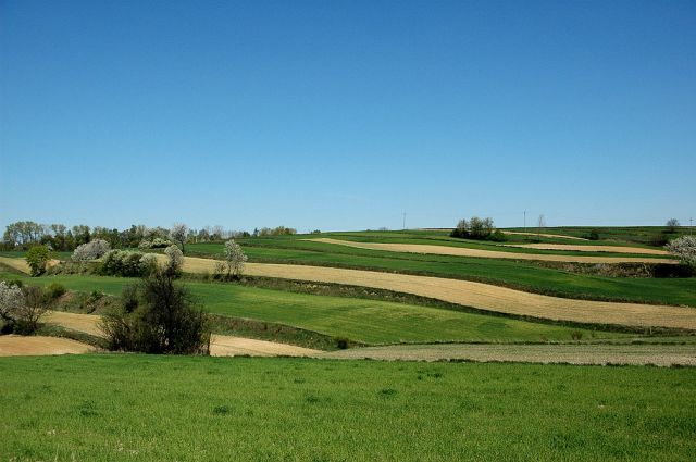 Zdjęcia: okolice Miechowa, małopolskie , geometria pól 4- polska wieś:), POLSKA Zdjęcia: okolice Miechowa, małopolskie , geometria pól 4- polska wieś:), POLSKA