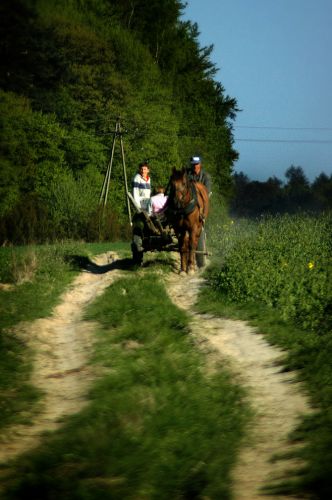 Zdjęcia: okolice Miechowa, małopolskie , polska wieś:), POLSKA Zdjęcia: okolice Miechowa, małopolskie , polska wieś:), POLSKA
