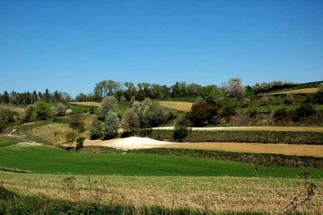 Zdjęcia: okolice Miechowa, małopolskie, pagórki- polska wieś:), POLSKA Zdjęcia: okolice Miechowa, małopolskie, pagórki- polska wieś:), POLSKA
