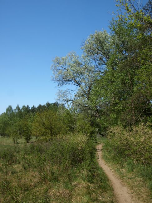 Zdjęcia: Ścieżka rowerowa, MPK, Niebieski nad Świdrem zachęca , POLSKA Zdjęcia: Ścieżka rowerowa, MPK, Niebieski nad Świdrem zachęca , POLSKA
