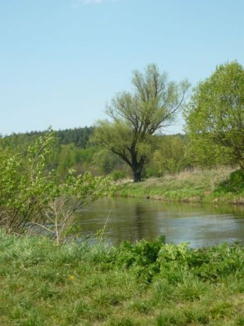 Zdjęcia: Częstochowa, północ woj. śląskiego, Warta w okolicy dzielnicy Mirów, POLSKA Zdjęcia: Częstochowa, północ woj. śląskiego, Warta w okolicy dzielnicy Mirów, POLSKA