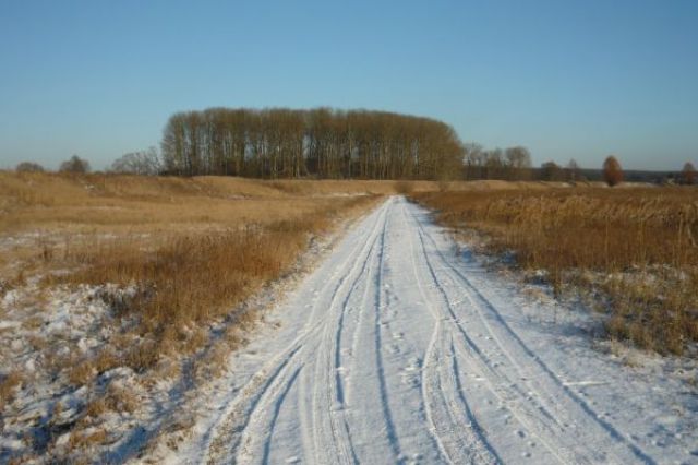 Zdjęcia: Częstochowa, północ woj. śląskiego, polna droga w dzielnicy Zawodzie, POLSKA Zdjęcia: Częstochowa, północ woj. śląskiego, polna droga w dzielnicy Zawodzie, POLSKA