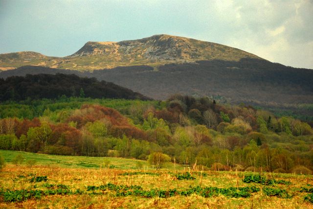 Zdjęcia: Wołosate, Bieszczady, Kolorowa Tarnica, POLSKA Zdjęcia: Wołosate, Bieszczady, Kolorowa Tarnica, POLSKA
