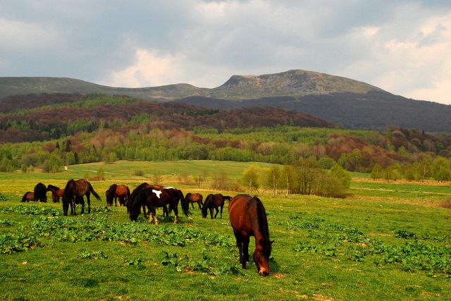 Zdjęcia: Wołosate, Bieszczady, Sielanka dla Beakal 1, POLSKA Zdjęcia: Wołosate, Bieszczady, Sielanka dla Beakal 1, POLSKA