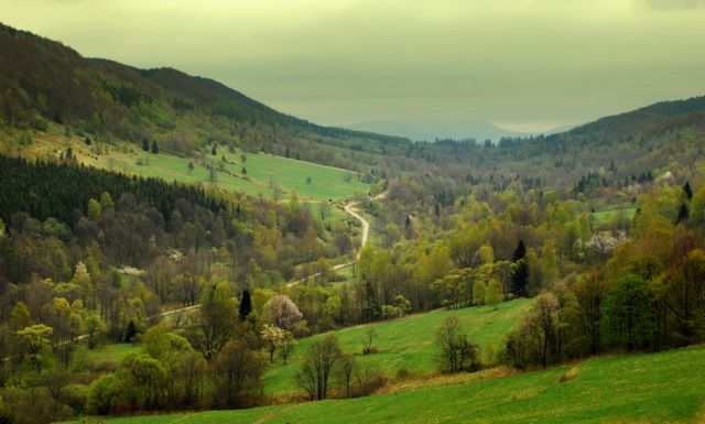 Zdjęcia: Dolina Caryńskiego, Bieszczady, Sielanka dla Beakal 2, POLSKA Zdjęcia: Dolina Caryńskiego, Bieszczady, Sielanka dla Beakal 2, POLSKA