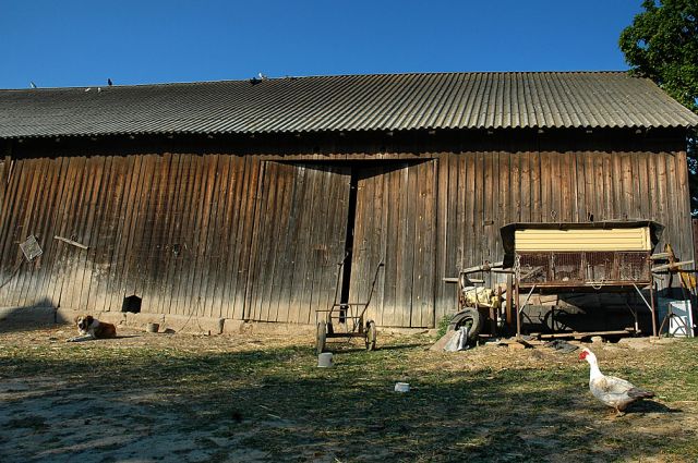 Zdjęcia: okolice Miechowa, małopolska, gospodarstwo, polska wieś, POLSKA Zdjęcia: okolice Miechowa, małopolska, gospodarstwo, polska wieś, POLSKA