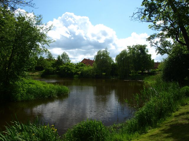 Zdjęcia: Galiny, Warmia i Mazury, w ogrodzie pałacowym , POLSKA Zdjęcia: Galiny, Warmia i Mazury, w ogrodzie pałacowym , POLSKA