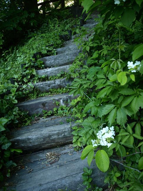 Zdjęcia: Galiny, Warmia i Mazury, schodki jakich wiele, POLSKA Zdjęcia: Galiny, Warmia i Mazury, schodki jakich wiele, POLSKA