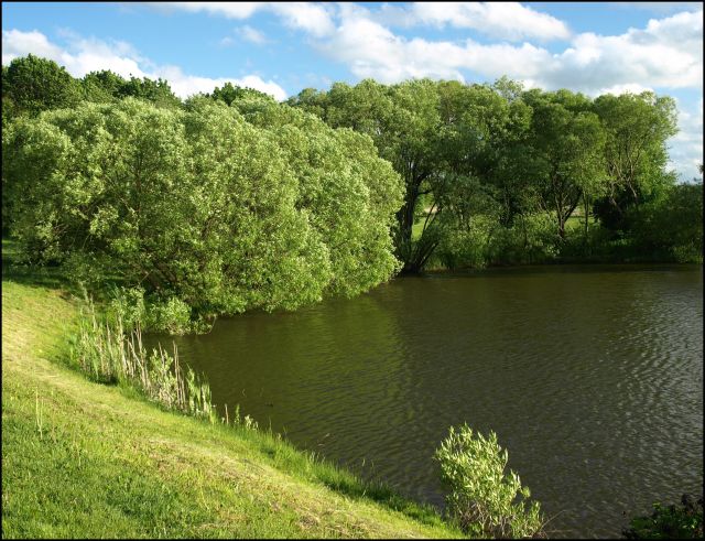 Zdjęcia: Galiny, Warmia i Mazury, na rybki?, POLSKA Zdjęcia: Galiny, Warmia i Mazury, na rybki?, POLSKA