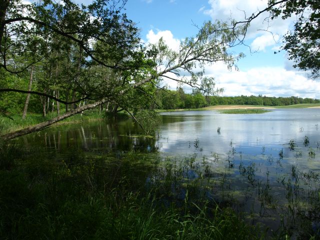Zdjęcia: Galiny, Warmia i Mazury, przegląda się, POLSKA Zdjęcia: Galiny, Warmia i Mazury, przegląda się, POLSKA
